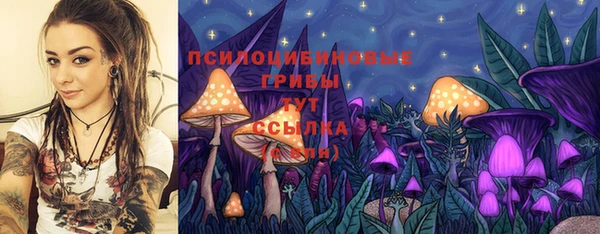 mdma Кинешма
